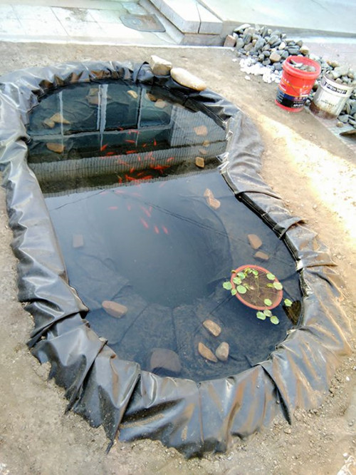 魚塘養(yǎng)殖防滲膜_蝦塘防滲膜_池塘防水膜